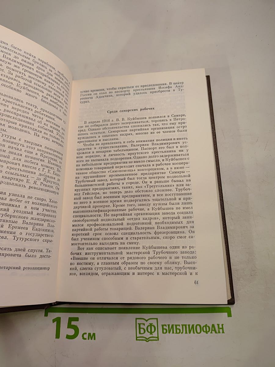 Валериан Владимирович Куйбышев: Биография