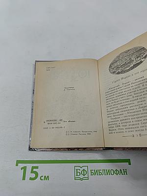 Юконский ворон