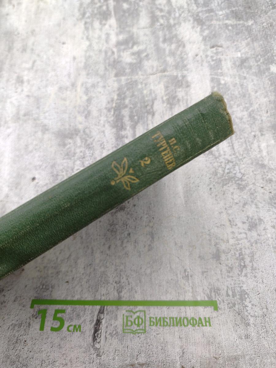 Собрание сочинений. Том 2: Рудин. Дворянское гнездо