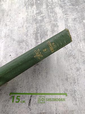 Собрание сочинений. Том 2: Рудин. Дворянское гнездо