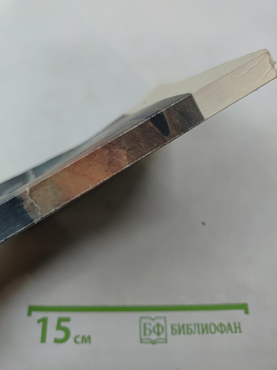 Страницы из летной книжки