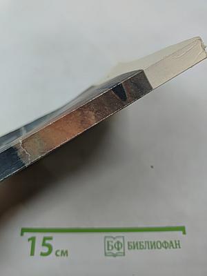 Страницы из летной книжки