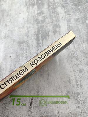 Замок спящей красавицы