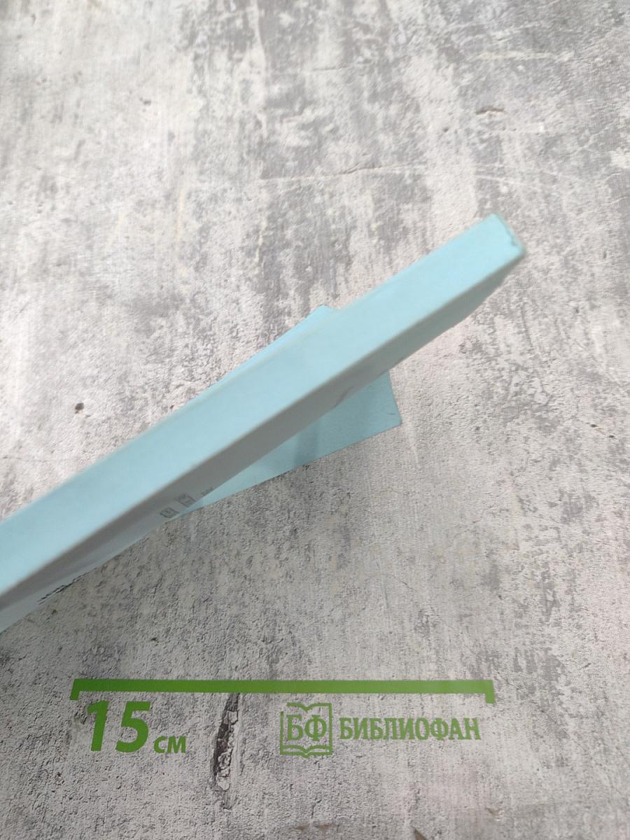 Эталонная модель профессиональной компетентности менеджера (руководителя) Книга 3