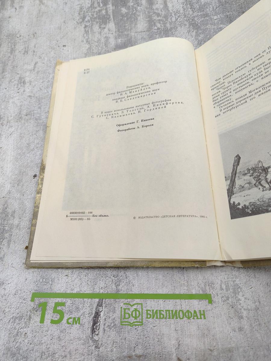 Далече от брегов Невы