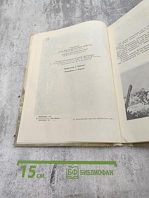 Далече от брегов Невы