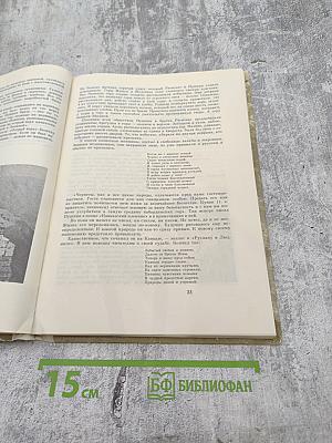 Далече от брегов Невы