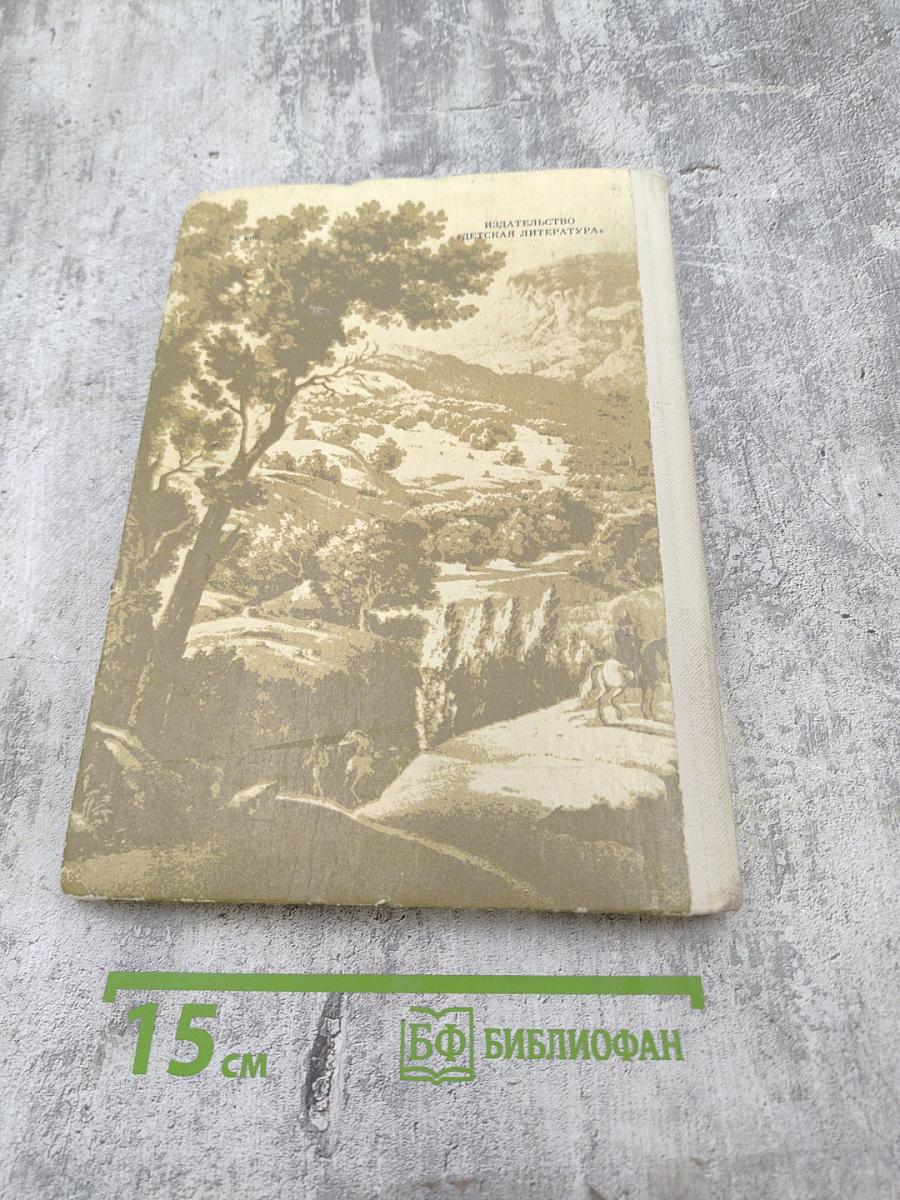 Далече от брегов Невы