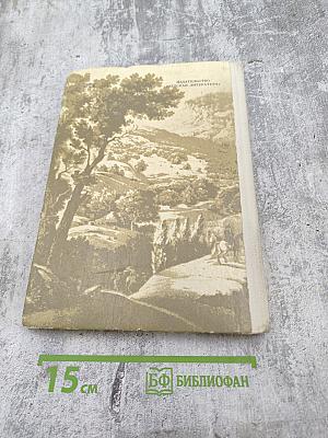 Далече от брегов Невы