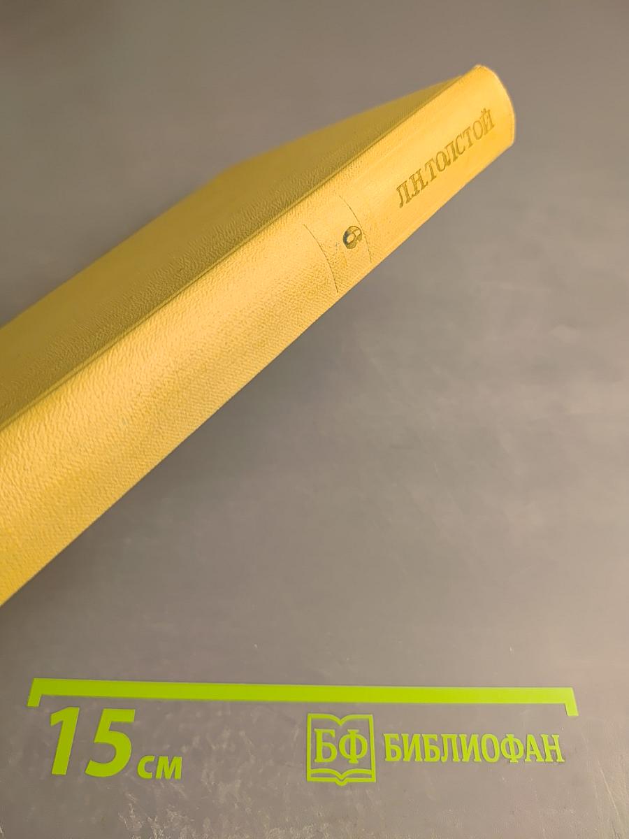 Война и мир. Том шестой