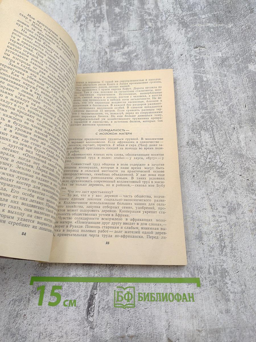 Тамтамы бьют мечту