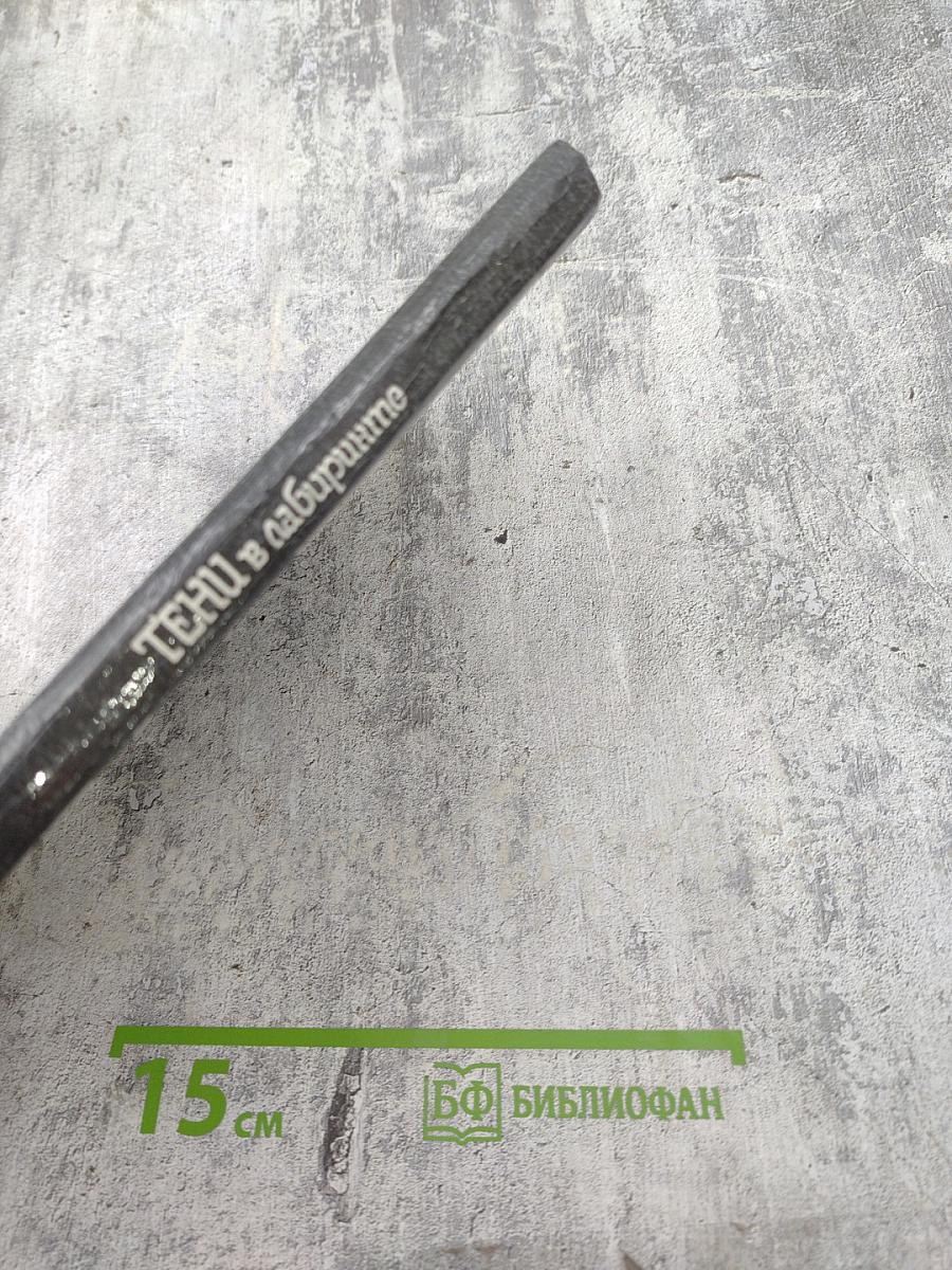 Тени в лабиринте