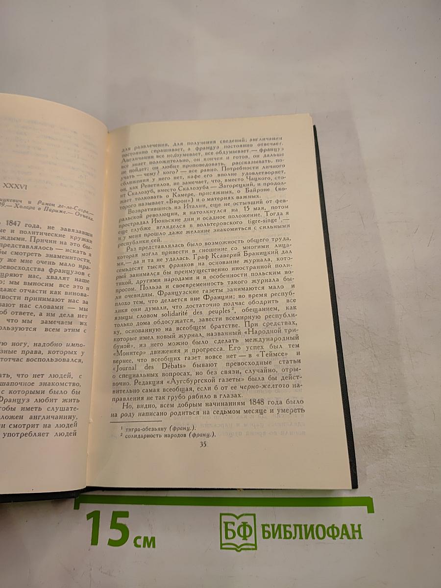 Былое и думы, Том 6