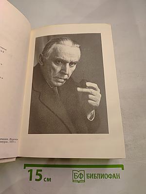 Первые радости. Необыкновенное лето