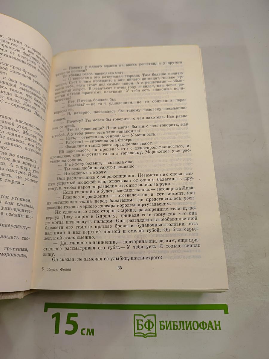 Первые радости. Необыкновенное лето