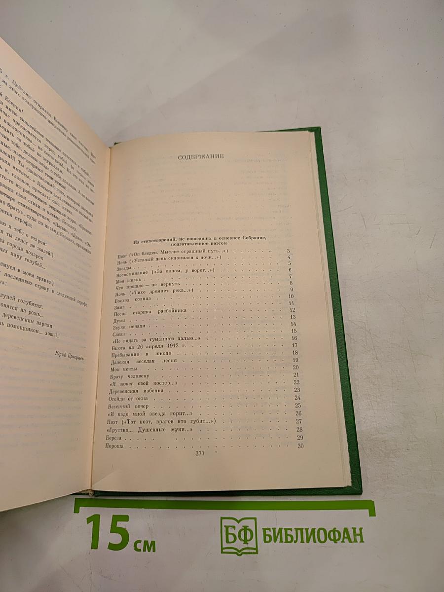 Сергей Есенин. Собрание сочинений в двух томах. Том 2