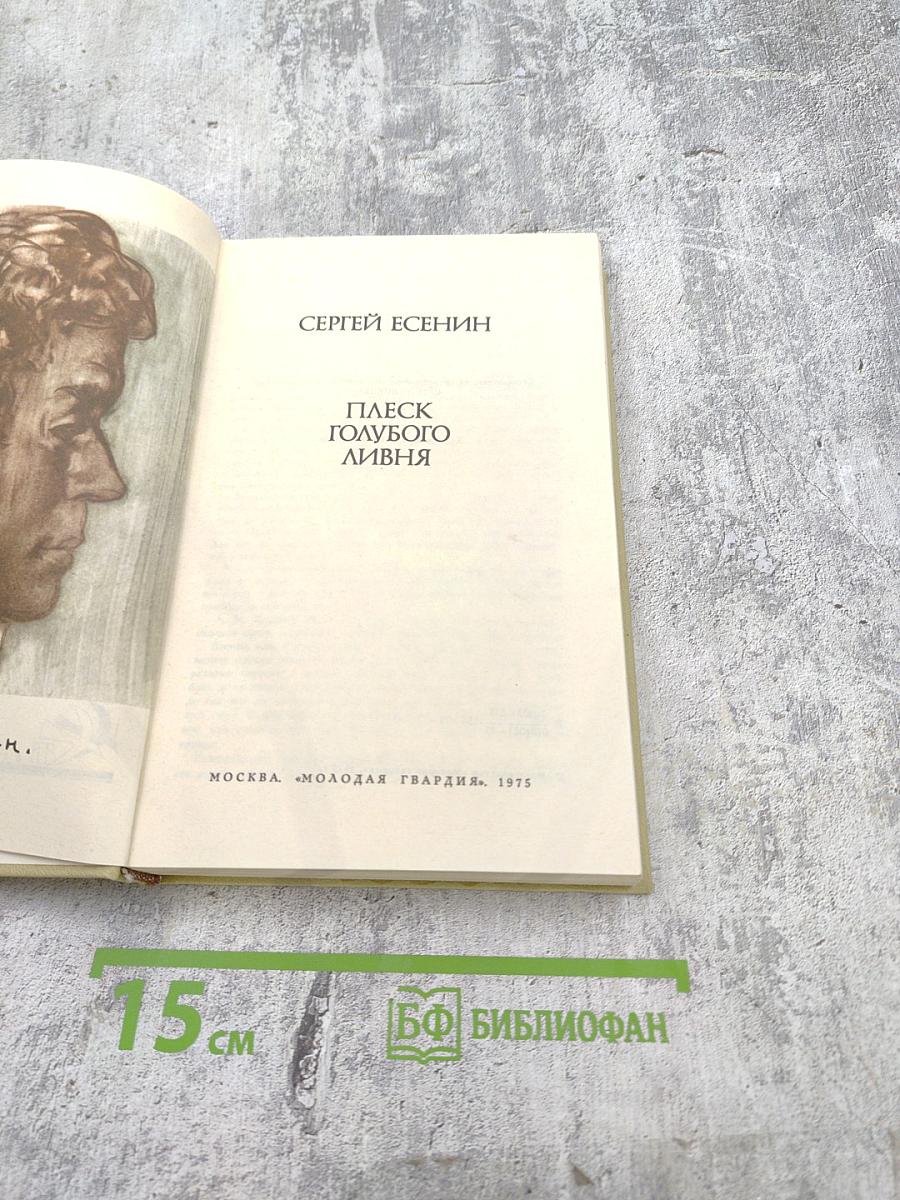 Плеск голубого ливня