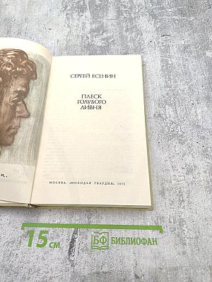 Плеск голубого ливня