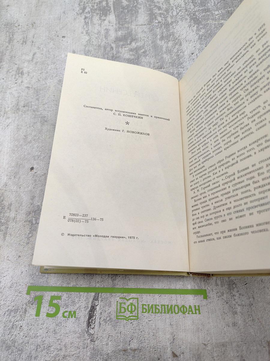 Плеск голубого ливня