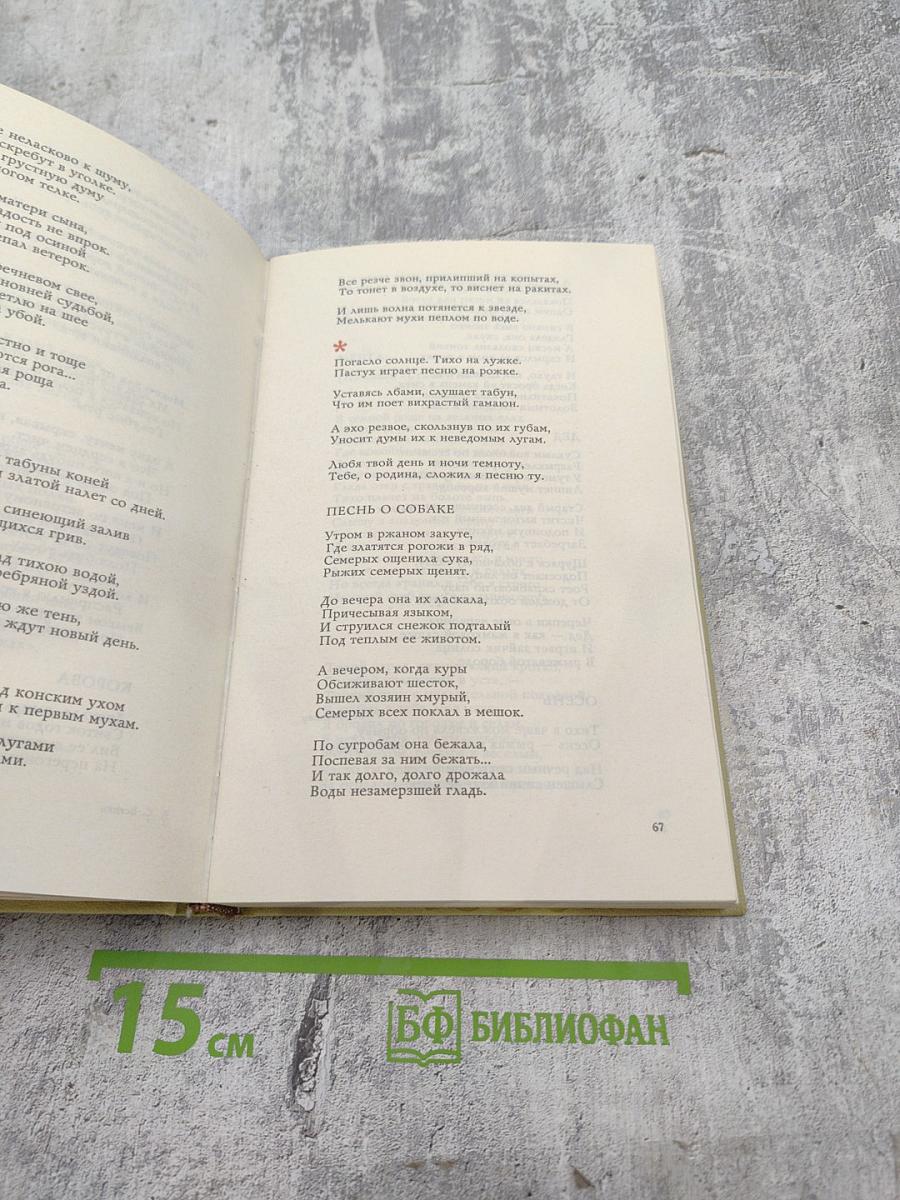 Плеск голубого ливня