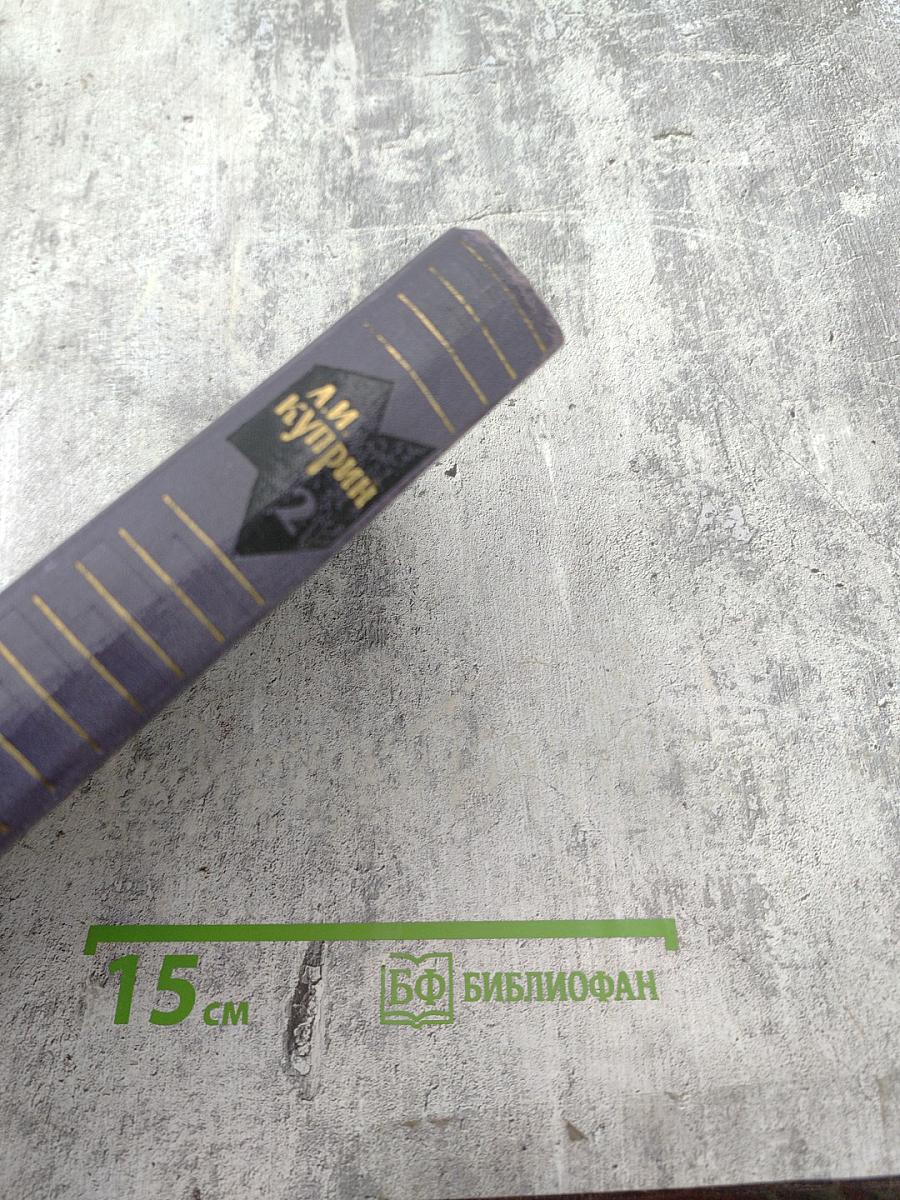 Собрание сочинений в девяти томах. Том 2