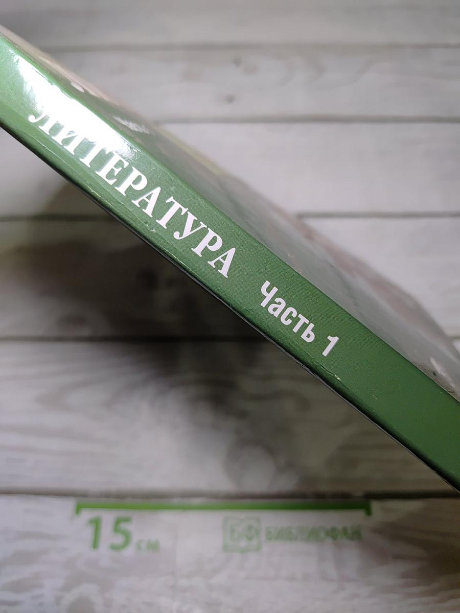 Литература. Учебник для 6 класса. Часть 1
