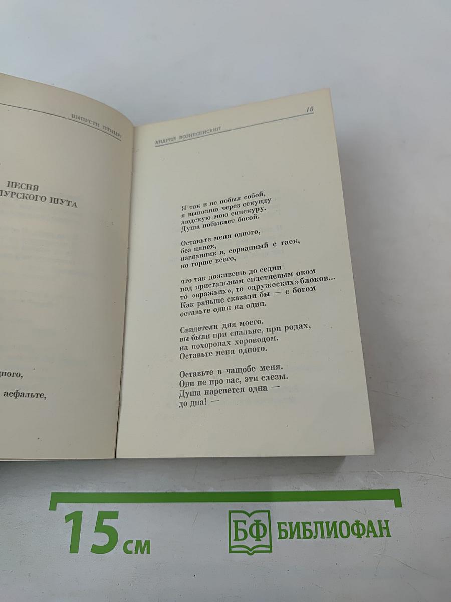 Выпусти птицу!