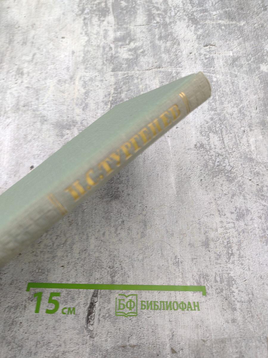 Собрание сочинений. Том второй: Рудин, Дворянское гнездо