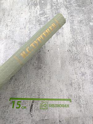 Собрание сочинений. Том восьмой. Повести и рассказы 1870-1882