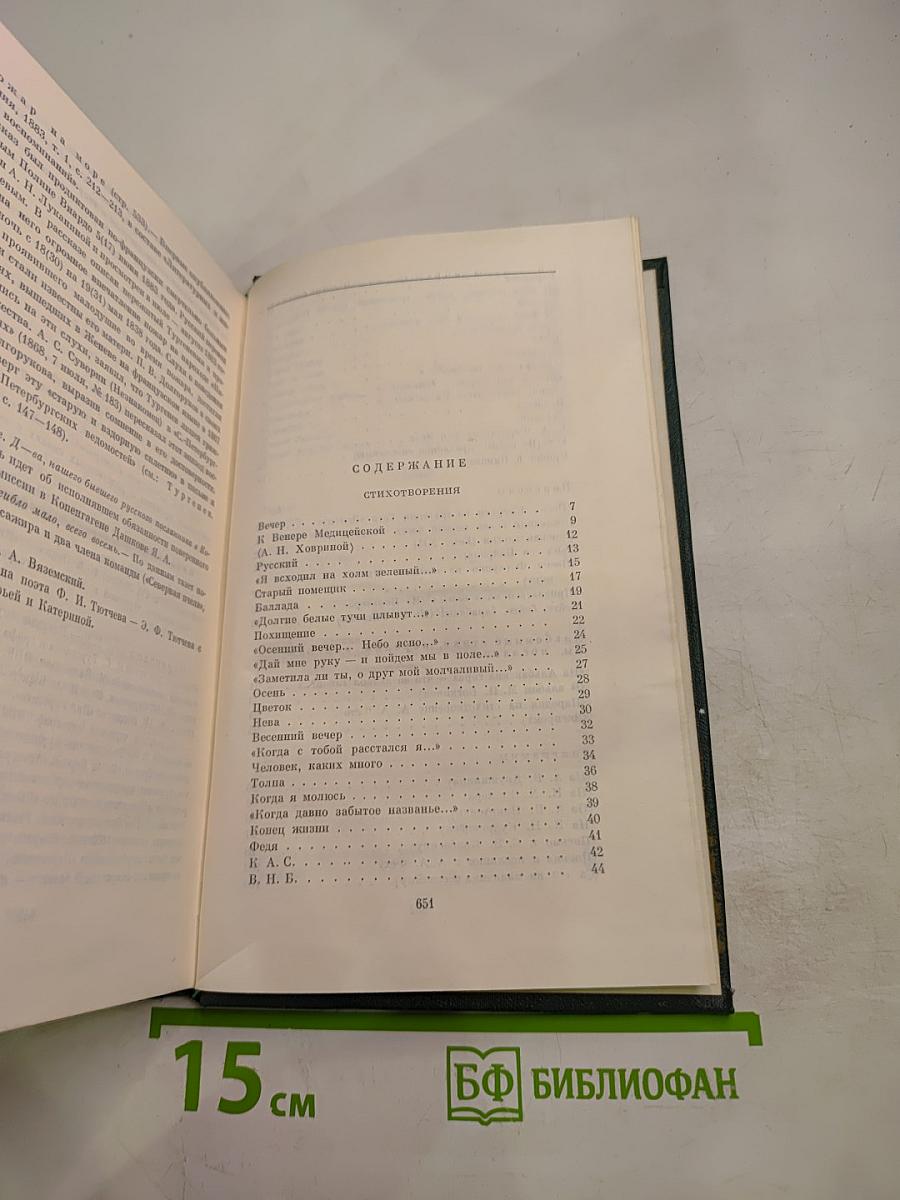 Собрание сочинений. Том одиннадцатый. Стихотворения. Поэмы. Литературные и житейские воспоминания. Переводы