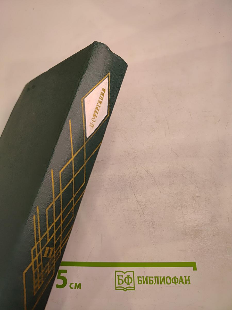 Собрание сочинений. Том одиннадцатый. Стихотворения. Поэмы. Литературные и житейские воспоминания. Переводы