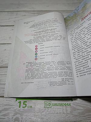 Изобразительное искусство. Каждый народ – художник