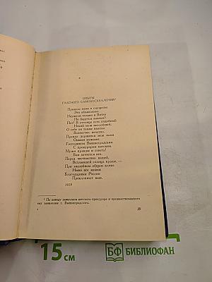 Василий Курочкин. Стихотворения. Статьи. Фельетоны