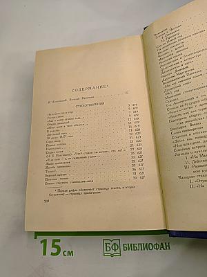 Василий Курочкин. Стихотворения. Статьи. Фельетоны