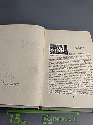 Рассказы. Том II