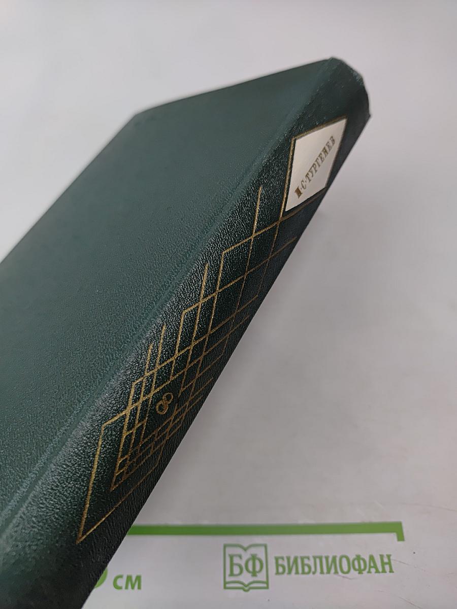 Собрание сочинений. Том восьмой: Повести и рассказы 1870-1883, стихотворения в прозе