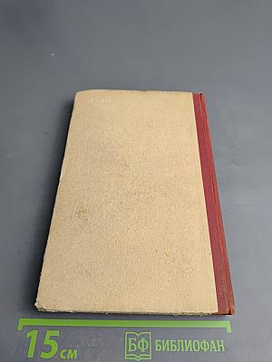 Счастье привалило!