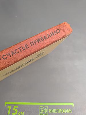 Счастье привалило!