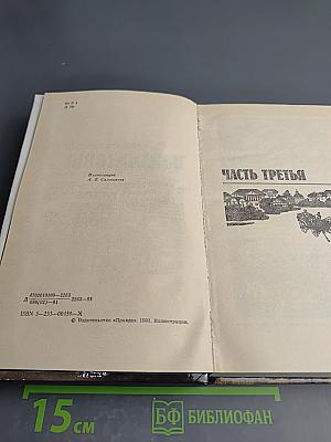 Братья Карамазовы, Часть III-IV