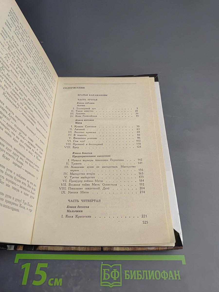 Братья Карамазовы, Часть III-IV