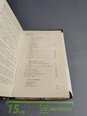 Братья Карамазовы, Часть III-IV