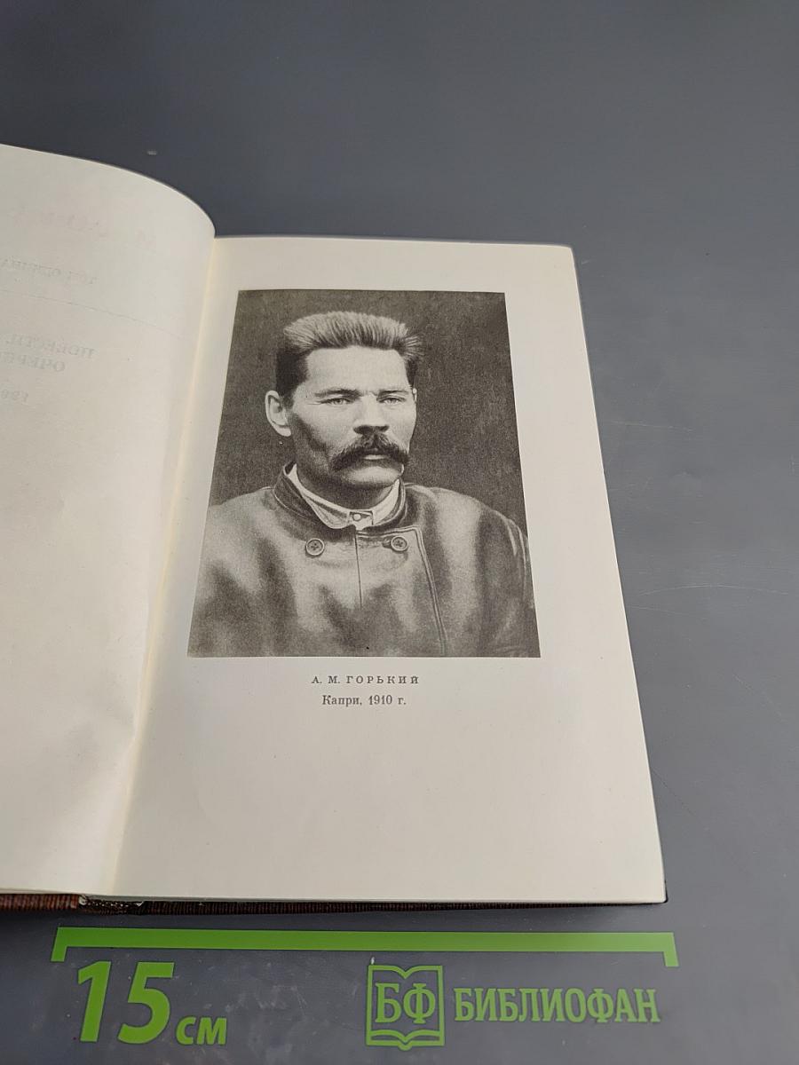 Собрание сочинений. Том одиннадцатый. Повести, рассказы, очерки, стихи. 1907 – 1917