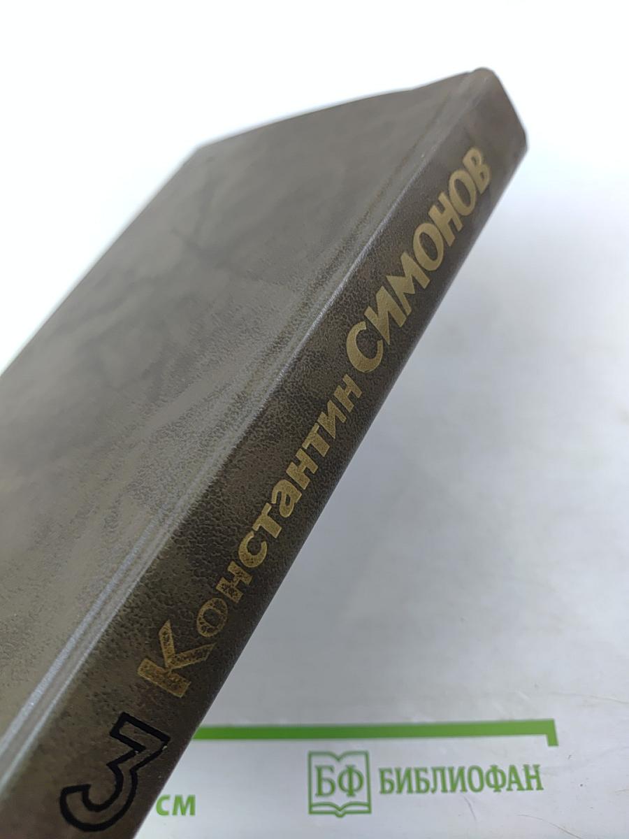 Живые и мертвые. Книга третья. Последнее лето