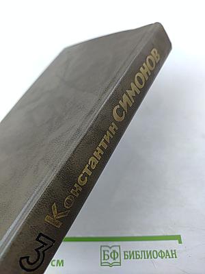 Живые и мертвые. Книга третья. Последнее лето