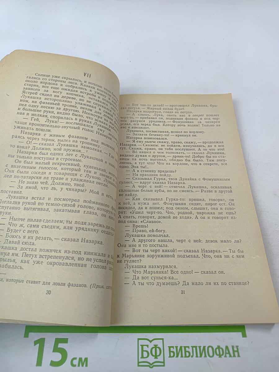 Казаки. Кавказская повесть