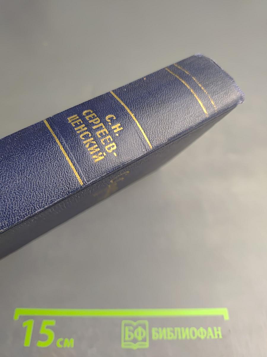 Собрание сочинений. Том второй. Рассказы и повести. 1910–1931