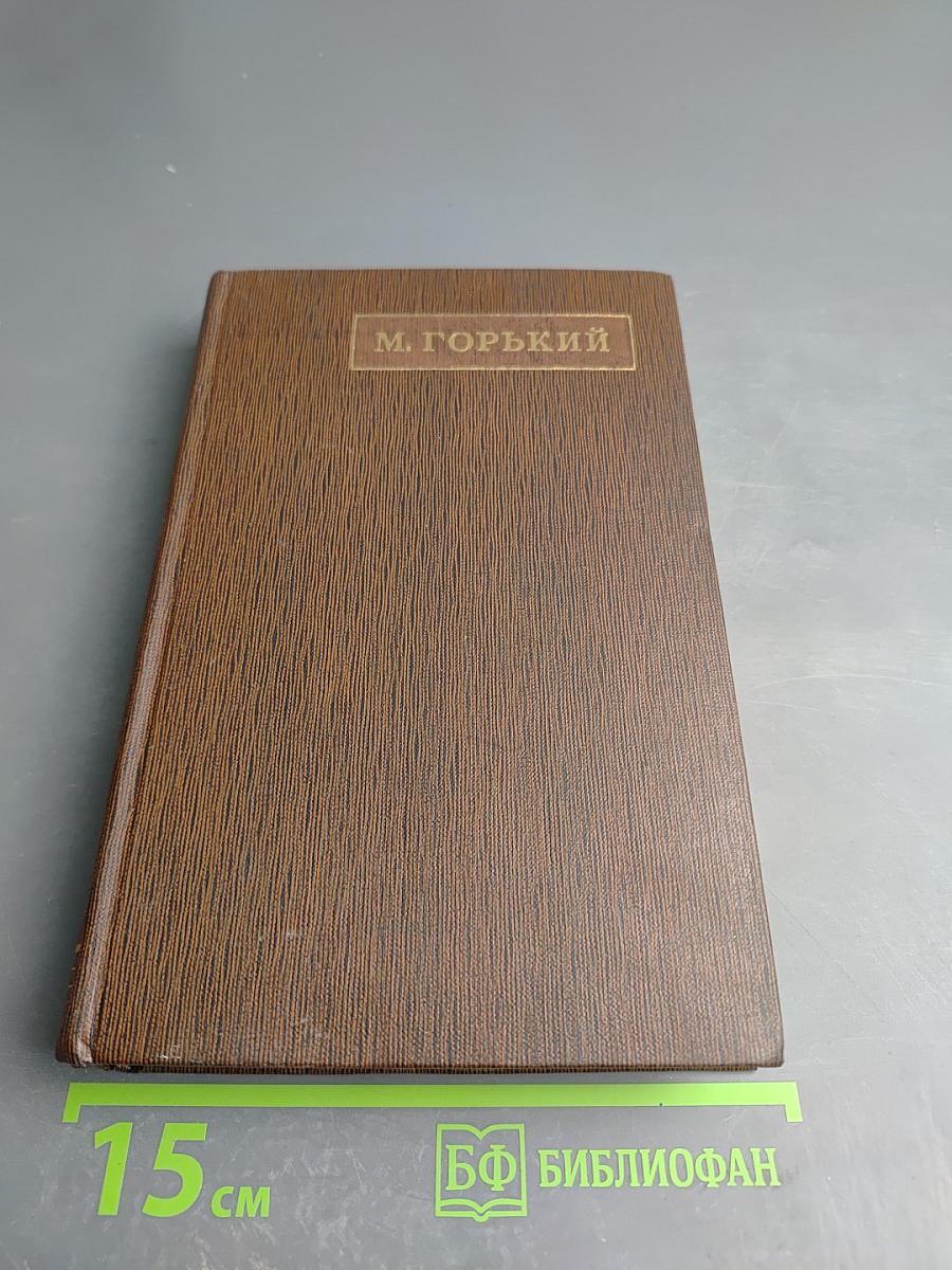 Полное собрание сочинений. Том пятый: Трое. Рассказы, наброски