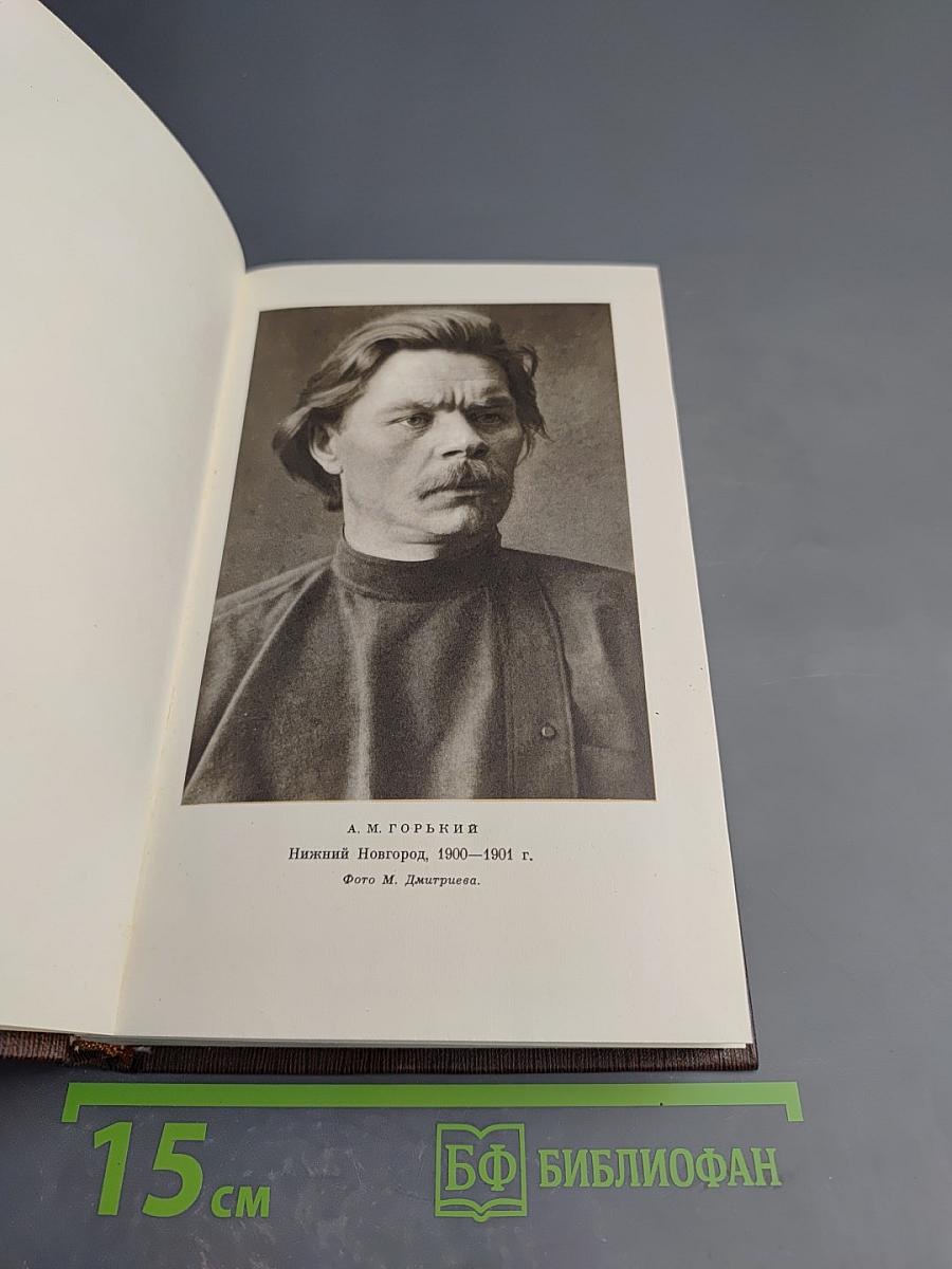 Полное собрание сочинений. Том пятый: Трое. Рассказы, наброски