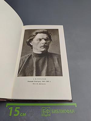 Полное собрание сочинений. Том пятый: Трое. Рассказы, наброски