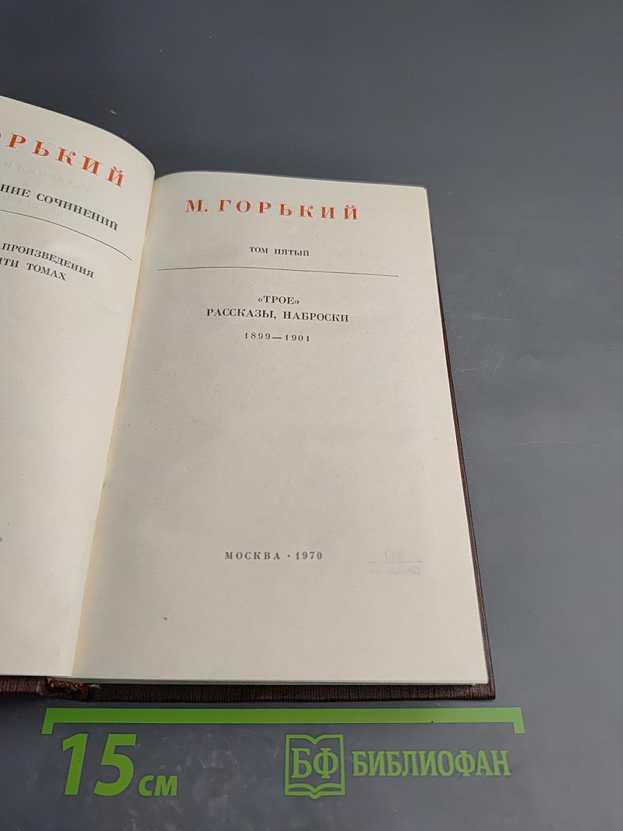 Полное собрание сочинений. Том пятый: Трое. Рассказы, наброски
